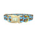 Monarch Butterfly Dog Collar - plastic gold