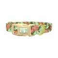 Paint Splatter Dog Collar - plastic gold