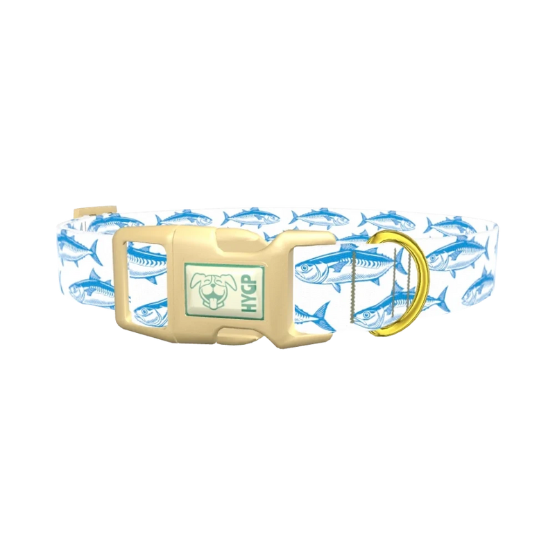 Ocean Fish Dog Collar - plastic gold