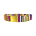 Purple Blue Green Stripes Dog Collar - metal gold