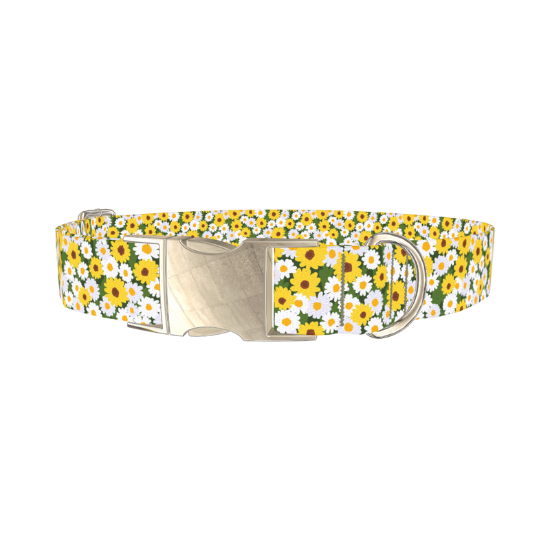 White and Yellow Daisy Dog Collar - metal silver