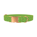 Lime Clover Pattern Dog Collar - metal rose gold