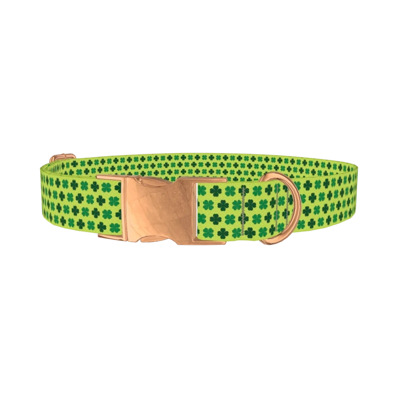 Lime Clover Pattern Dog Collar - metal rose gold