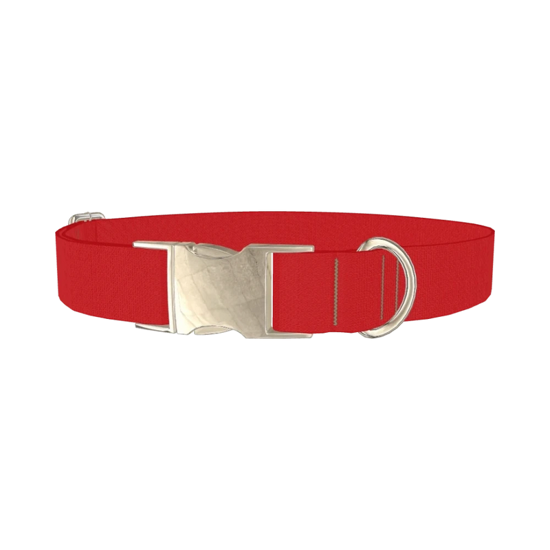 Bright Red Color Dog Collar - metal silver