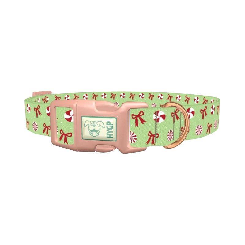 Christmas Peppermint Dog Collar - plastic rose gold