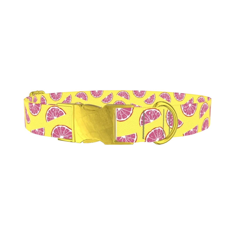 Grapefruit Slice Dog Collar - metal gold