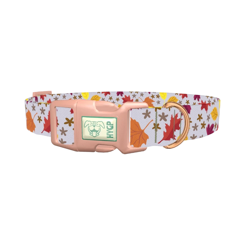 Autumn Acorn Dog Collar - plastic rose gold