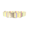 Pastel Stripe Dog Collar - metal gold