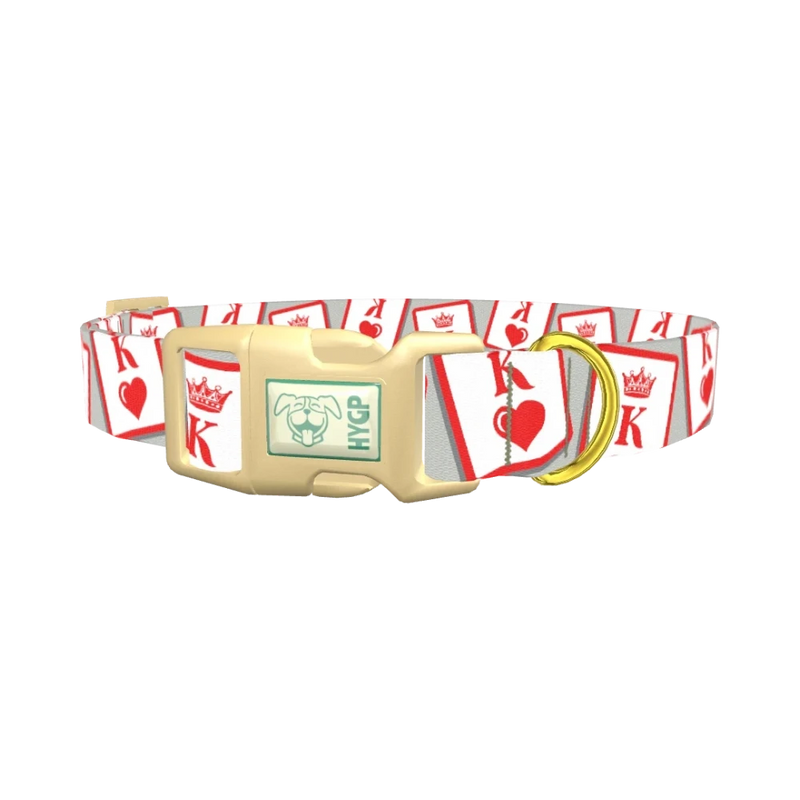 Playing Card Dog Collar - plastic gold