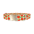 Apple Picnic Dog Collar - metal silver