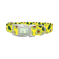 Avocado Fruit Dog Collar - plastic silver