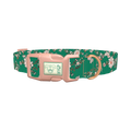 Floral Butterfly Dog Collar - plastic rose gold