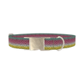 Rainbow Trout Pattern Dog Collar - metal silver