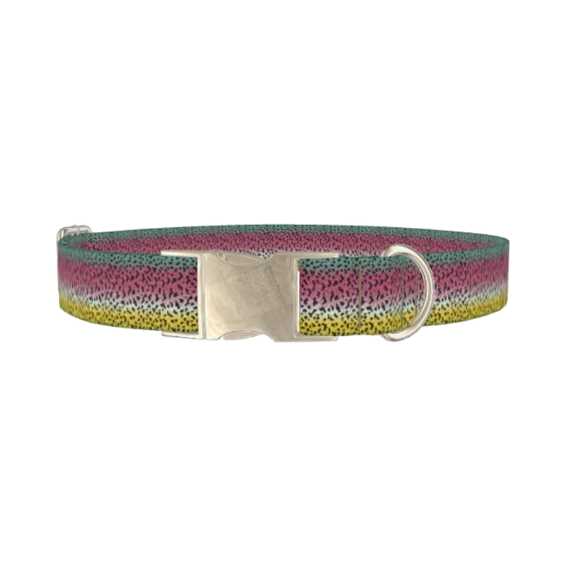 Rainbow Trout Pattern Dog Collar - metal silver