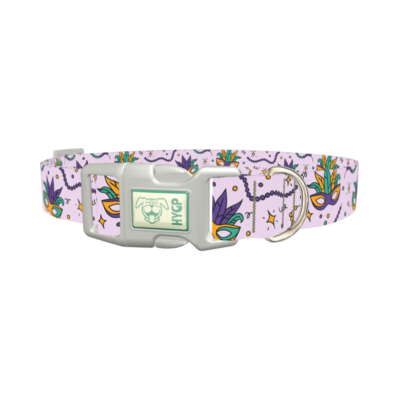 Mardi Gras Mask Dog Collar - plastic silver