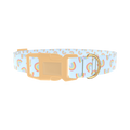 Rainbow Pattern Dog Collar - plastic gold