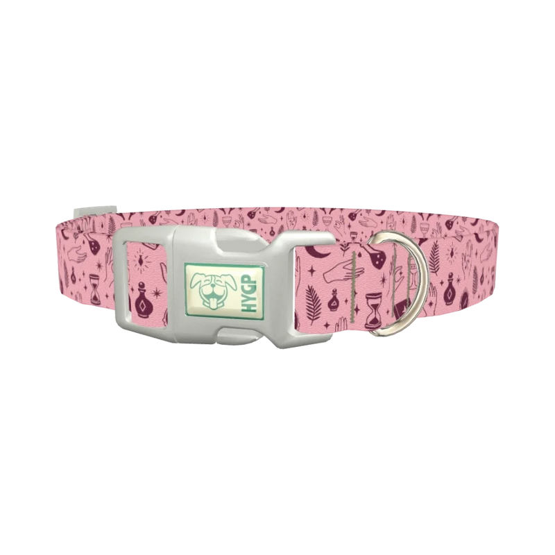 Halloween Palmistry Dog Collar - plastic silver