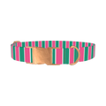 Pink and Green Stripe Dog Collar - metal rose gold