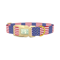 Patriotic American Flag Dog Collar - plastic gold