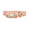 Peach Floral Dog Collar - plastic rose gold