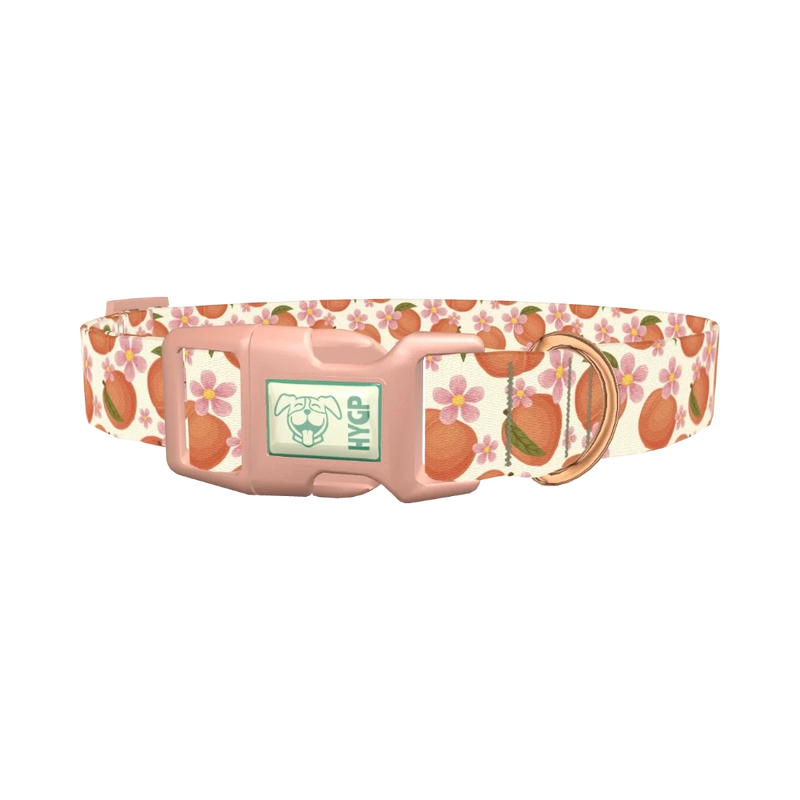 Peach Floral Dog Collar - plastic rose gold