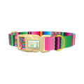 Mexican Floral Stripe Dog Collar - plastic gold