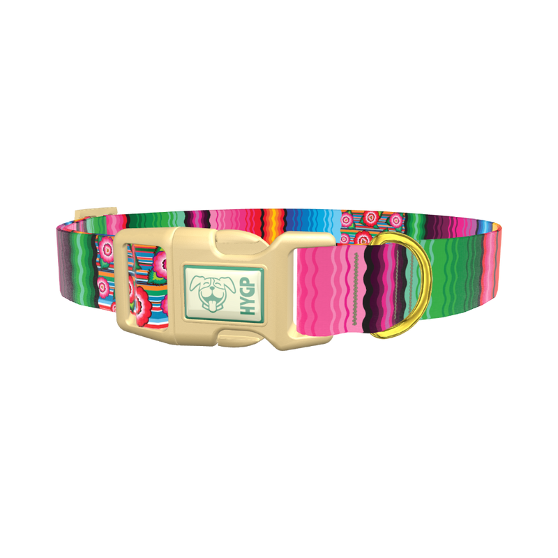 Mexican Floral Stripe Dog Collar - plastic gold