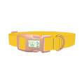 Golden Kiwi Color Dog Collar - plastic rose gold