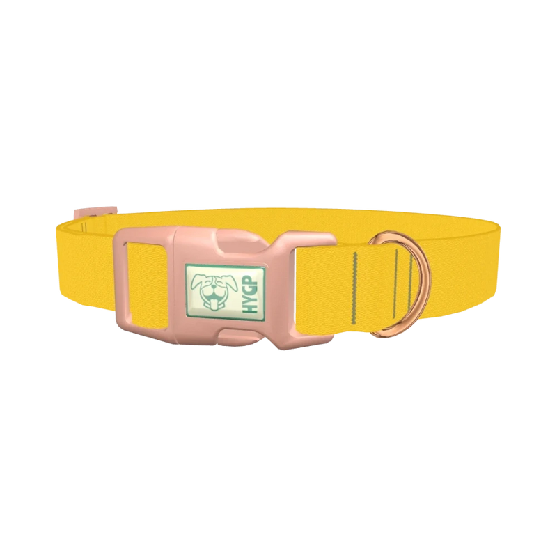 Golden Kiwi Color Dog Collar - plastic rose gold