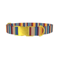 Colorful Striped Dog Collar - metal gold