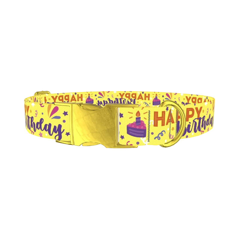 Birthday Cake Dog Collar - metal gold