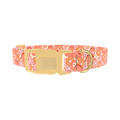 Floral Dinosaur Dog Collar - plastic gold