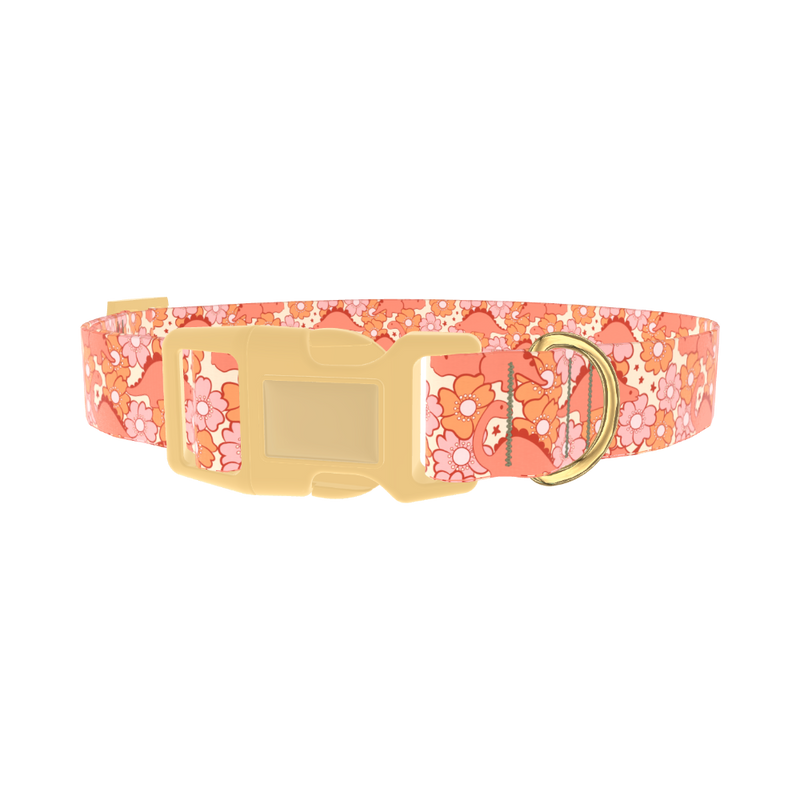 Floral Dinosaur Dog Collar - plastic gold