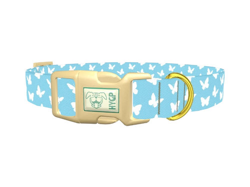Sky Blue Butterfly Dog Collar