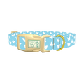 Sky Blue Butterfly Dog Collar - plastic gold