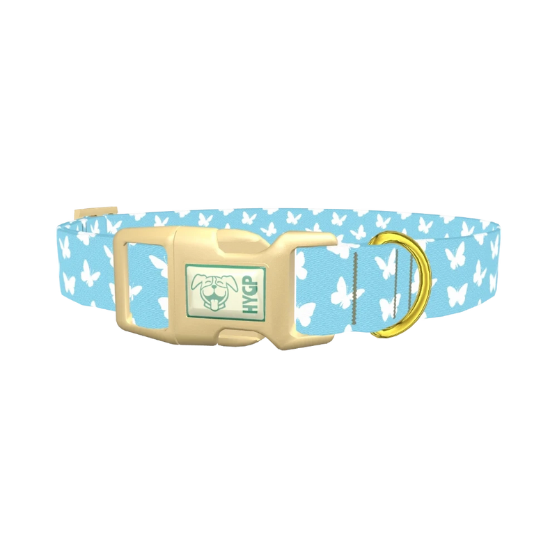 Sky Blue Butterfly Dog Collar - plastic gold