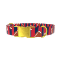 Patriotic Football Dog Collar - metal gold