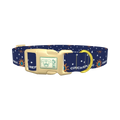  - plastic gold