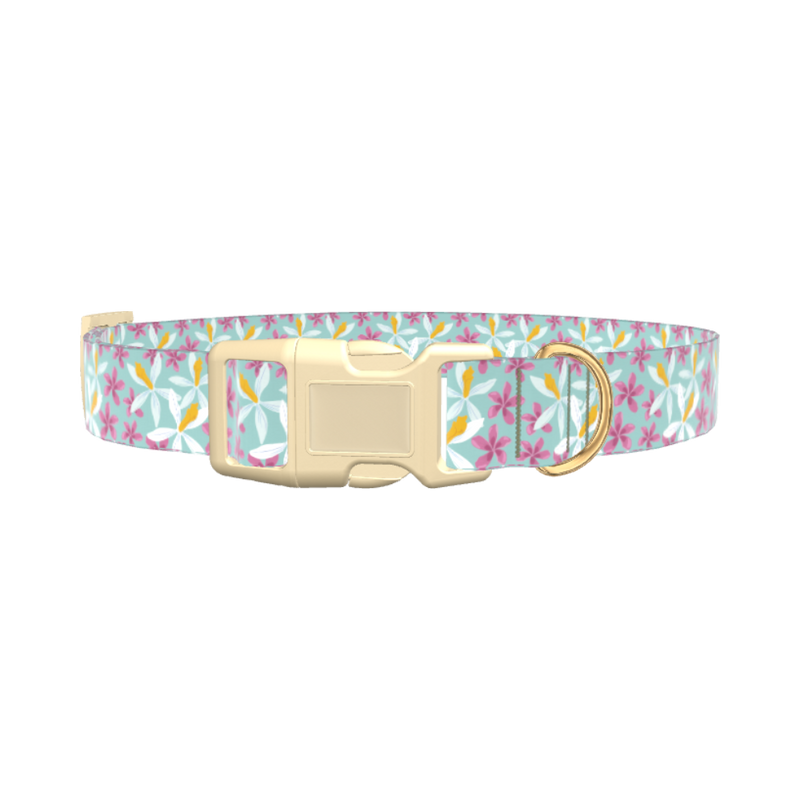 Tropical Orchid Dog Collar - plastic silver