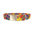 Colorful Paint Splatter Dog Collar - metal silver