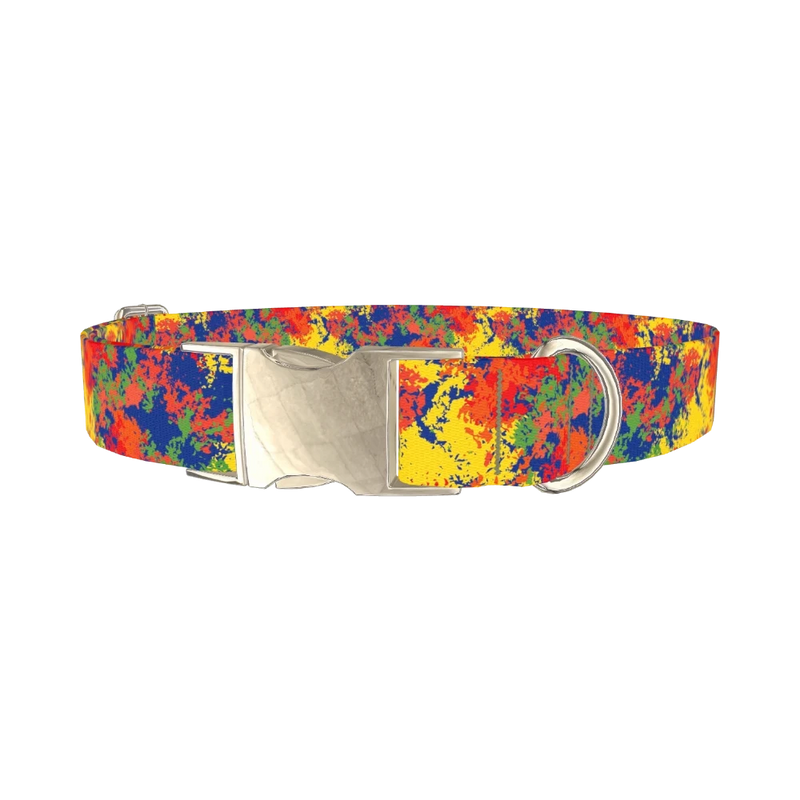 Colorful Paint Splatter Dog Collar - metal silver