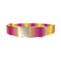 Colorful Snake Skin Dog Collar - metal silver