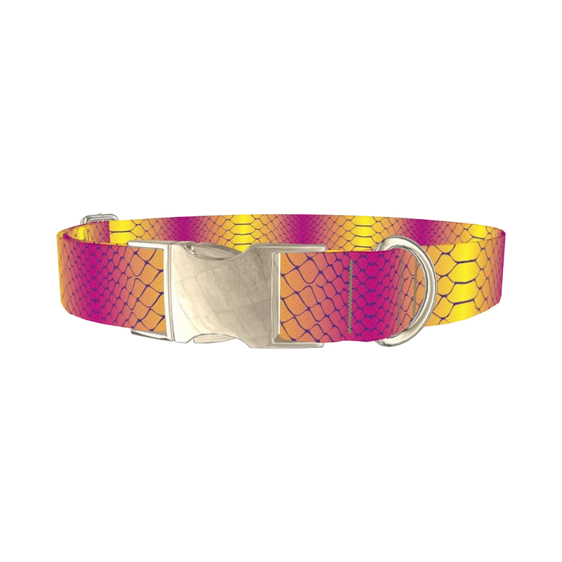 Colorful Snake Skin Dog Collar - metal silver