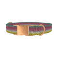 Rainbow Trout Pattern Dog Collar - metal rose gold