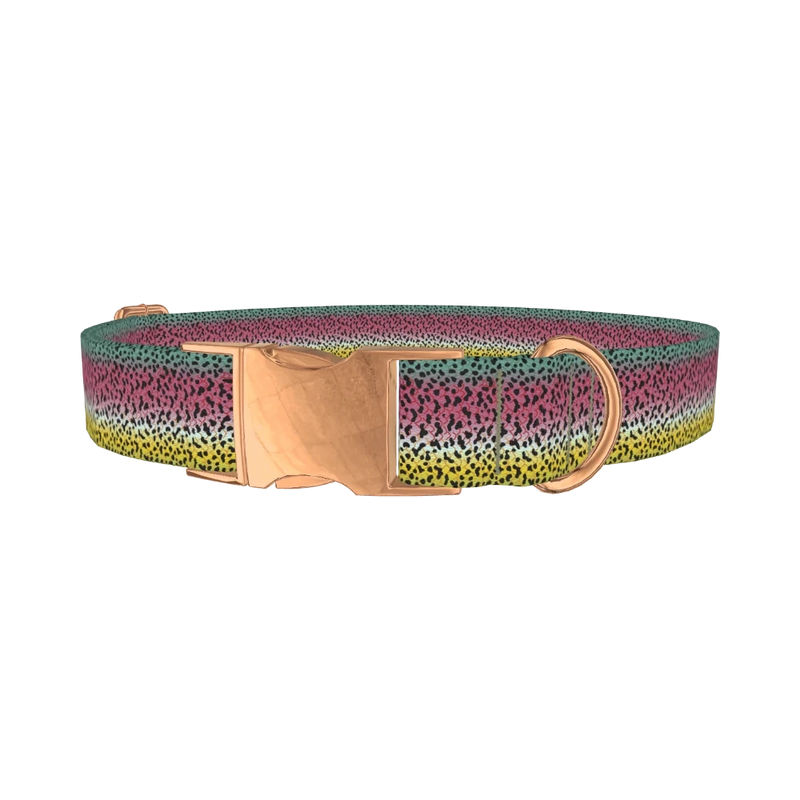 Rainbow Trout Pattern Dog Collar - metal rose gold