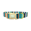 Bright Stripe Dog Collar - plastic gold