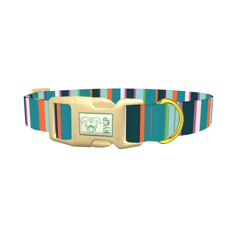 Bright Stripe Dog Collar - plastic gold