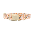 Spooky Potion Halloween Dog Collar - plastic rose gold