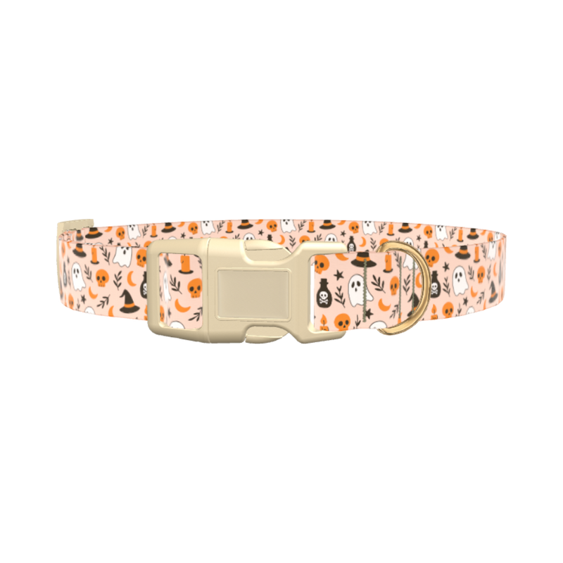 Spooky Potion Halloween Dog Collar - plastic rose gold