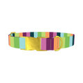 Rainbow Stripe Dog Collar - metal gold